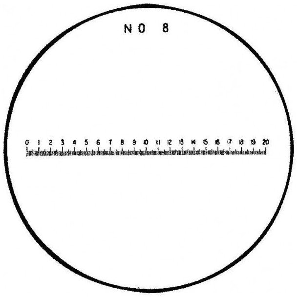 Magnifying Glass With LED and scale